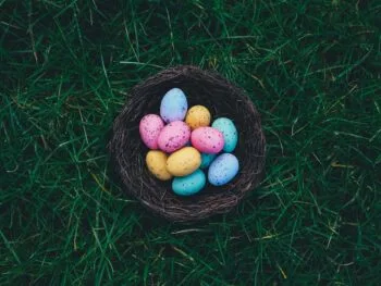Easter Eggs on brown nest
