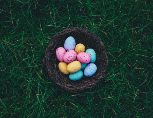 {{brizy_dc_image_alt entityId=